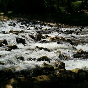 Meet your Posher, Katy